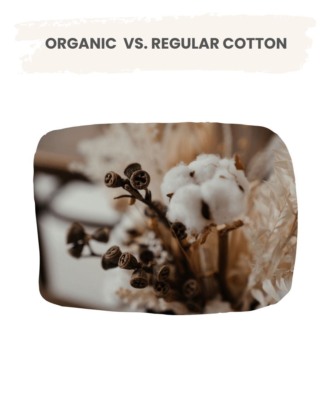 Organic cotton branch 