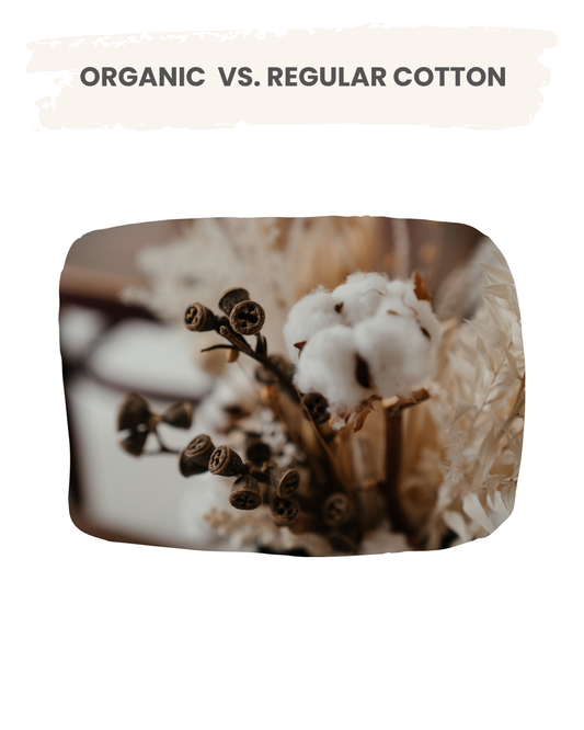 What Is Organic Cotton (And Why It’s a Game-Changer for Your Little One)