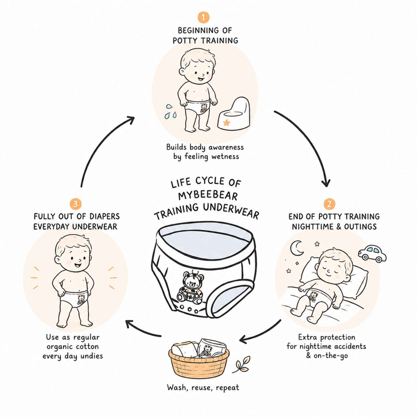 Infographic showing the life cycle of MyBeeBear training underwear, from daytime potty training through nighttime protection