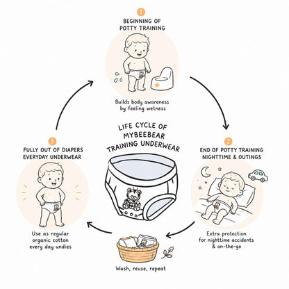 Infographic showing the life cycle of MyBeeBear training underwear, from daytime potty training through nighttime protection