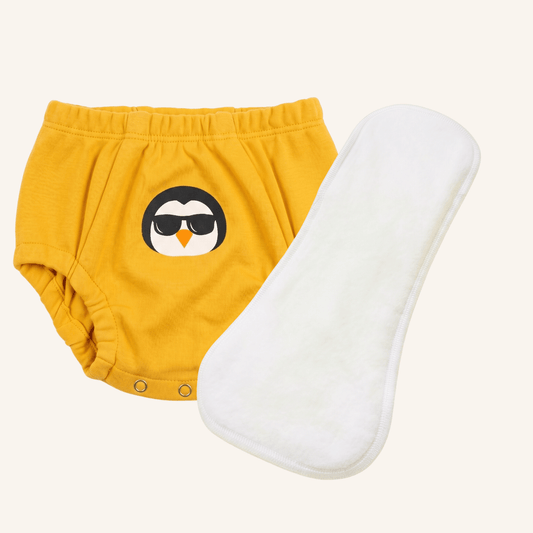 Reusable Booster Pad and training underwear on clear background